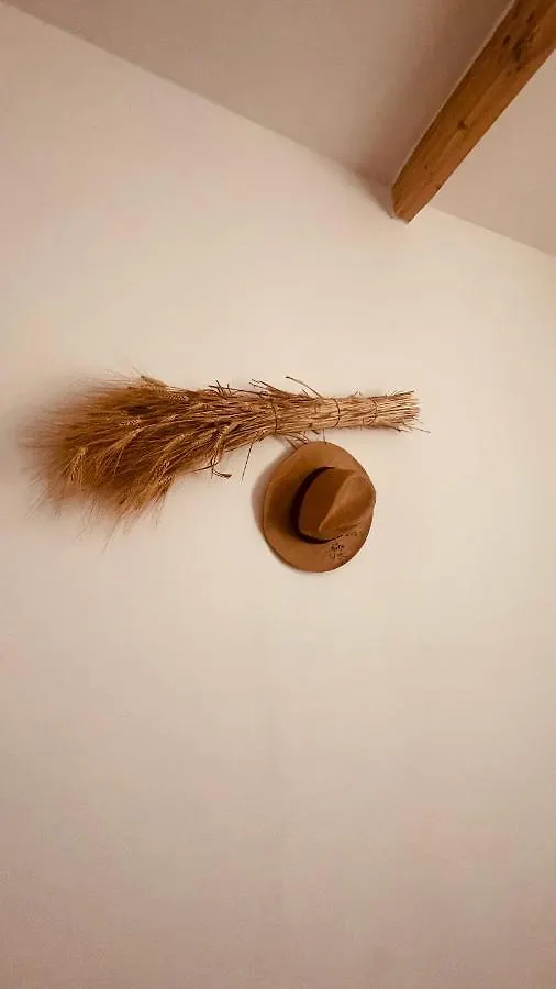 Interno12 Apartment Palermo